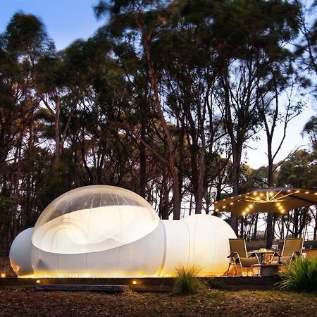 Skyview Bubbletent Eganstown Exterior photo